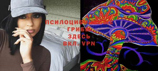 тгк Алексин