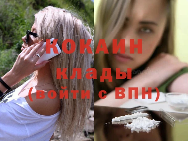 тгк Алексин
