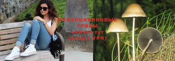 соль ск Алексеевка