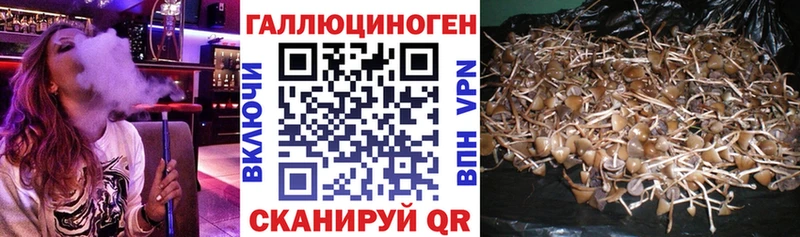 Псилоцибиновые грибы ЛСД  Жуков 